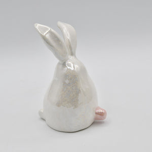 Chubby Cheeks Bunny – Chubby and Charming #12