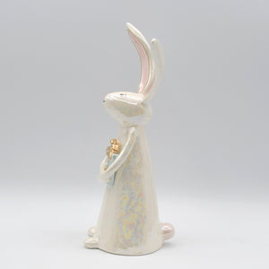 Bunny With Gift Box #20
