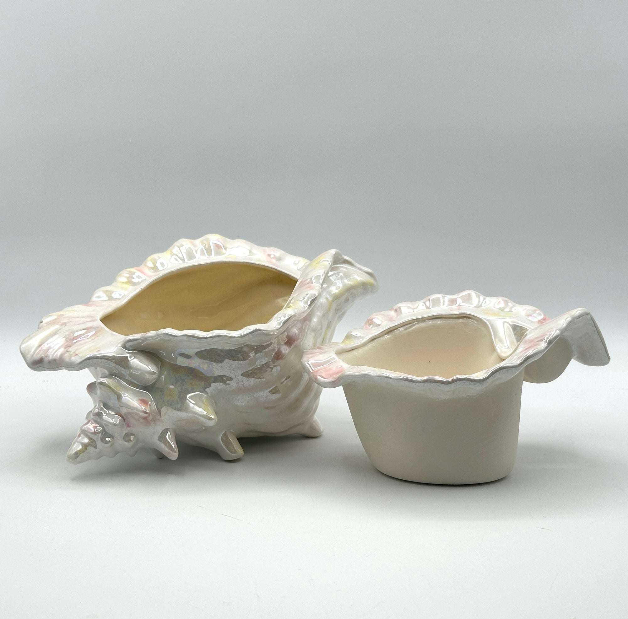 Shell Planter with African Violet Insert