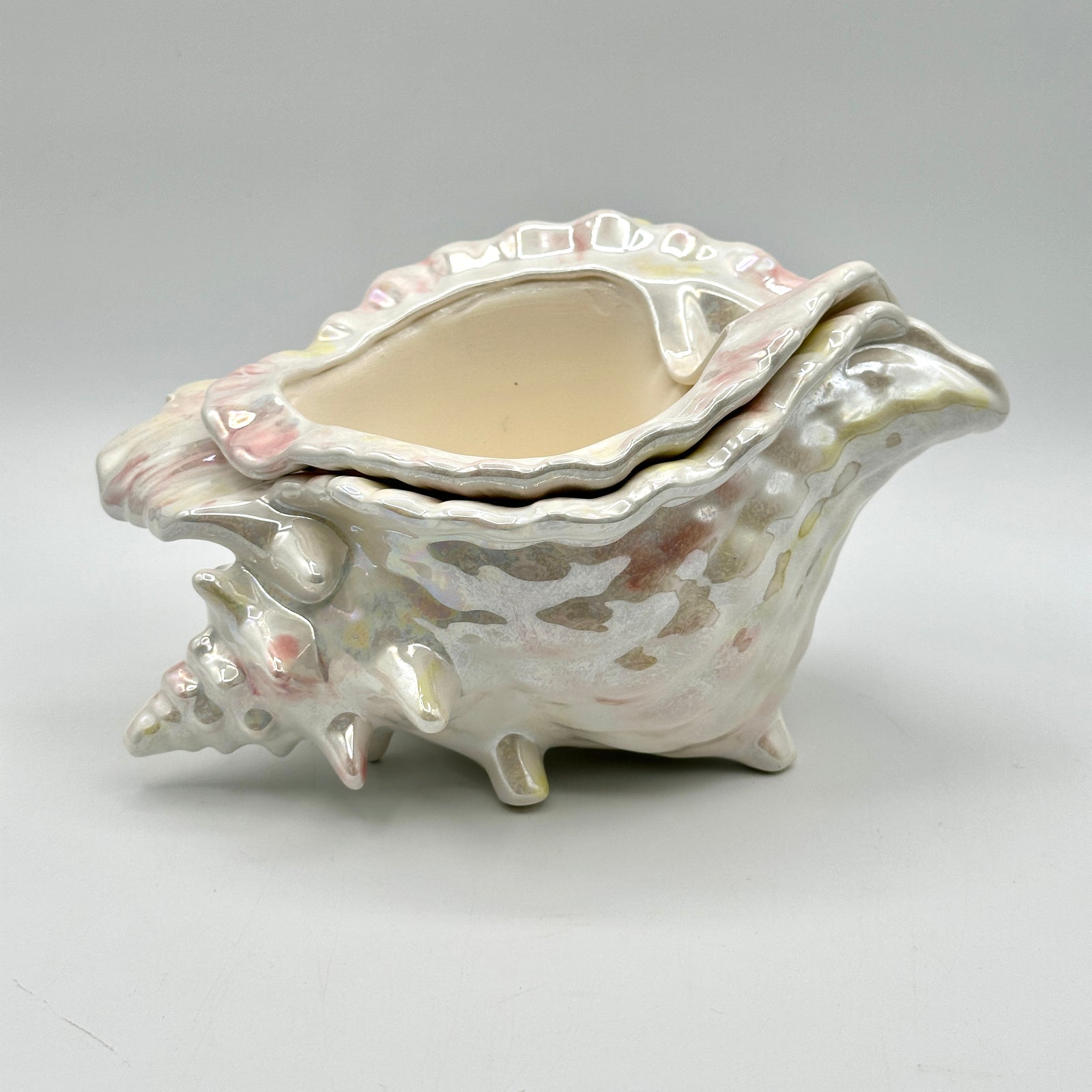 Shell Planter with African Violet Insert