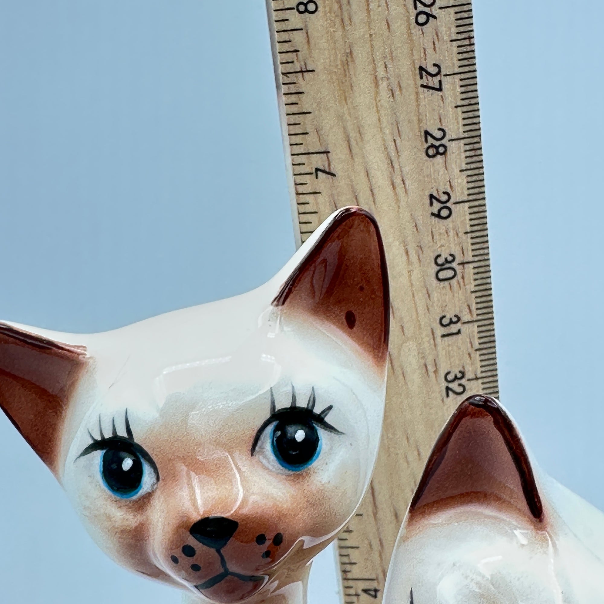 Vintage-Inspired Siamese Cat Pair